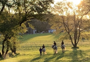 Fall-summer-Riders