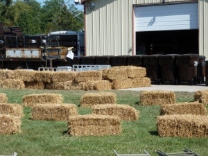 fest-set-up-close-up