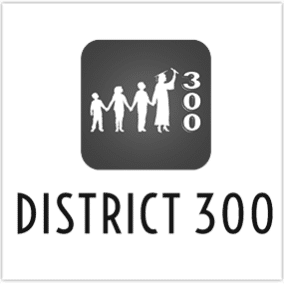 district-300