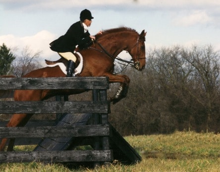 vickyfitch-horsejumping