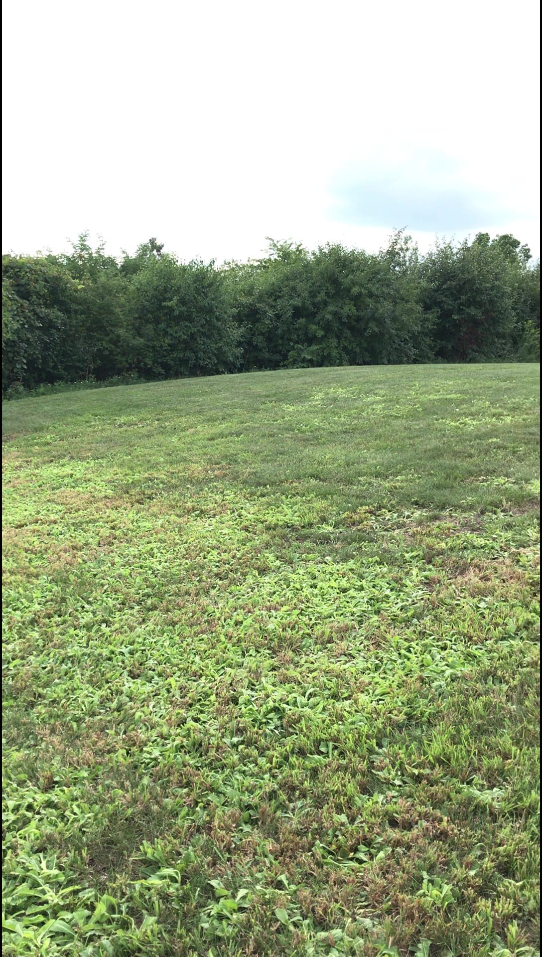 Prepping The Hills behind The Hall Village of Barrington Hills