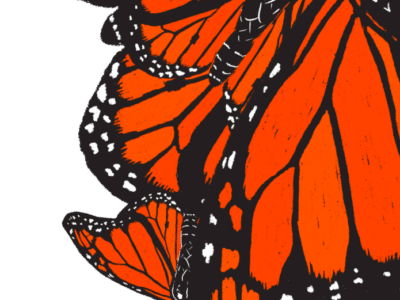 IL Monarch Project Logo
