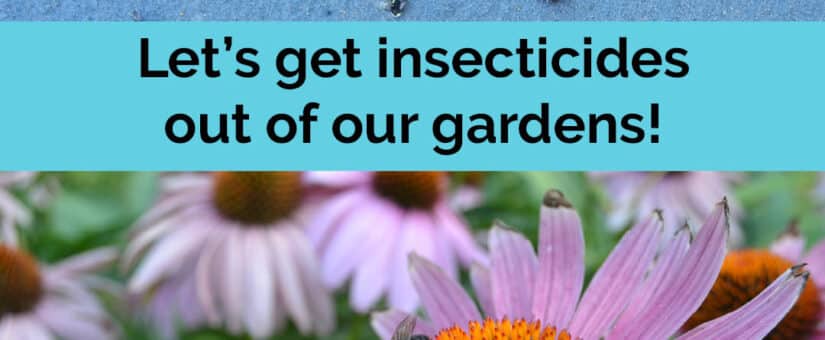 Pollinator Week June 19-25: “Bee Safe”