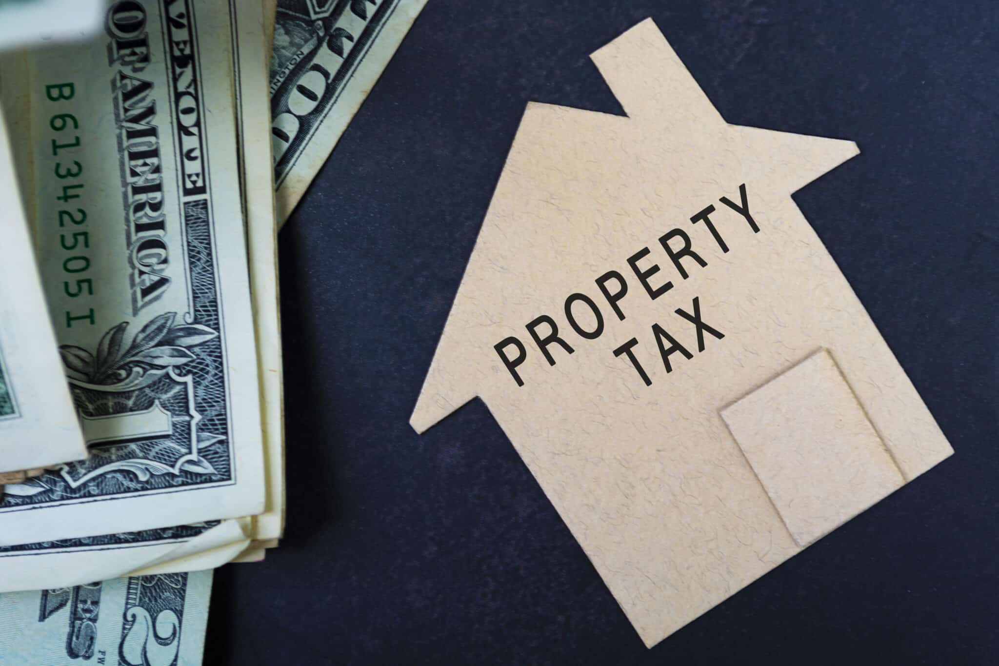 Cook County mailed First Installment Property Tax Bill Village of Barrington Hills