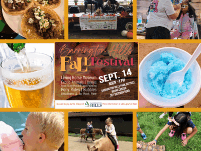 Fall Fest 2025 collage