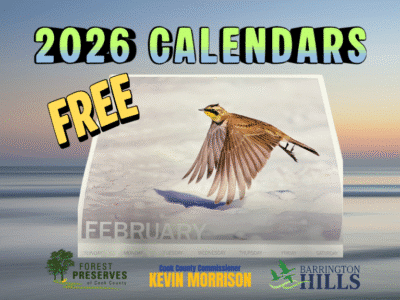 2026 calendars (350 x 200 px)