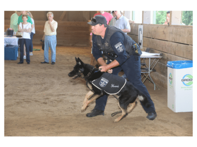 Deputy Zerbe & Hemi (300×200) (3)